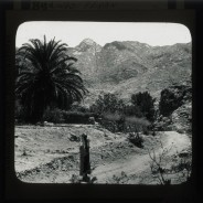 Böhl glass slide 61./1476